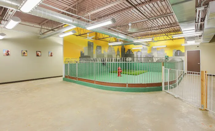 Austin Urban Veterinary Center Picture 4