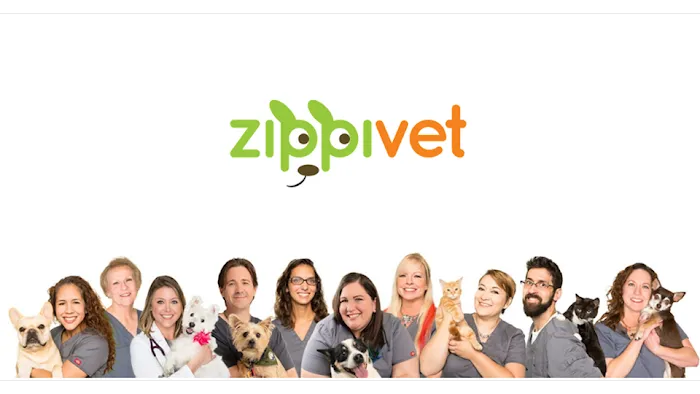 ZippiVet Picture 1