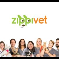 ZippiVet ico