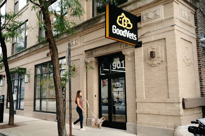 GoodVets East Austin Picture 5