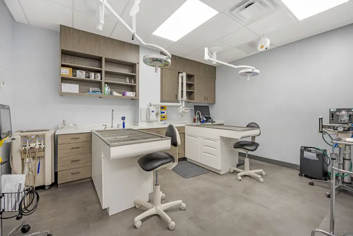 Livewell Animal Hospital of Austin Picture 1