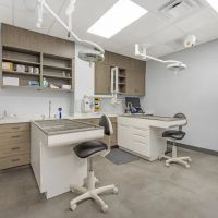 Livewell Animal Hospital of Austin ico