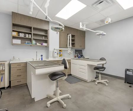 Livewell Animal Hospital of Austin