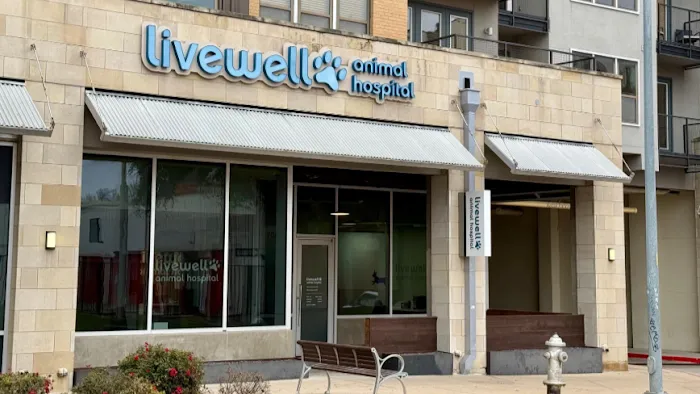 Livewell Animal Hospital of Austin Picture 3