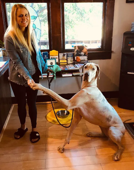 Livewell Animal Hospital of Austin Picture 6