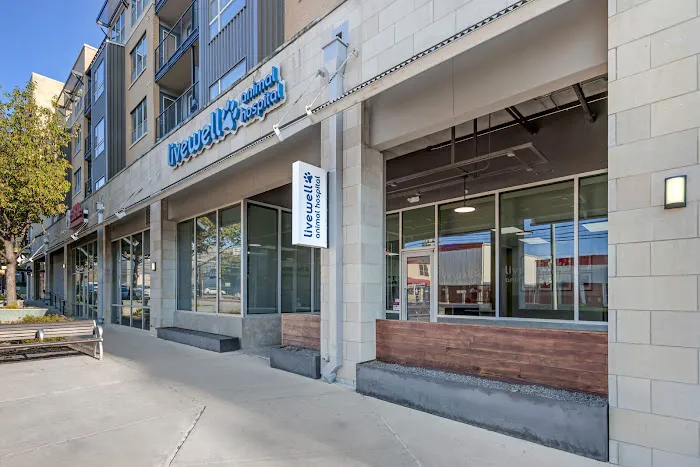 Livewell Animal Hospital of Austin Picture 5