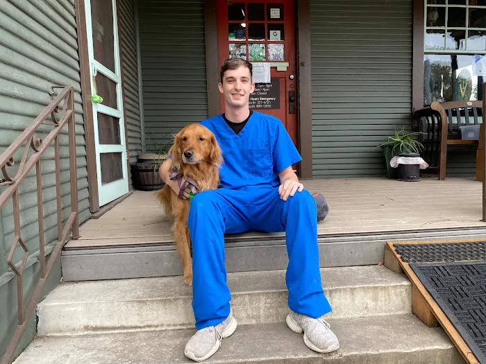 Livewell Animal Hospital of Austin Picture 7