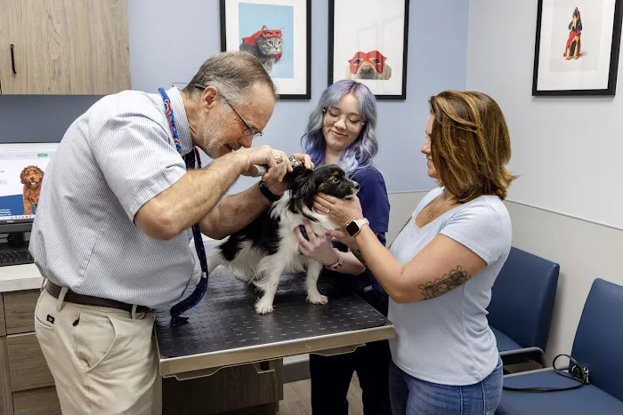Livewell Animal Hospital of Austin Picture 8
