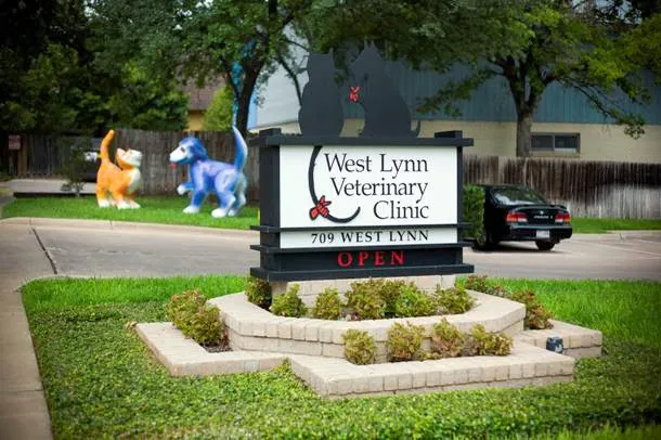 West Lynn Veterinary Clinic Picture 4