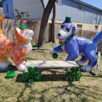 West Lynn Veterinary Clinic ico