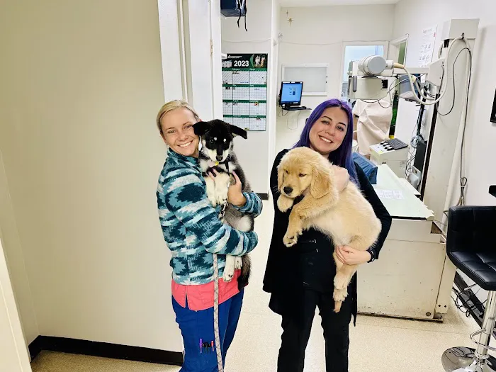 West Lynn Veterinary Clinic Picture 2