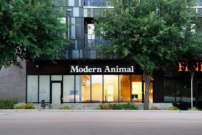 Modern Animal Picture 3