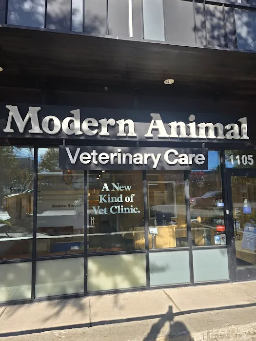 Modern Animal Picture 8