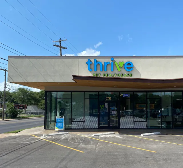 Thrive Pet Healthcare - East Austin Picture 1