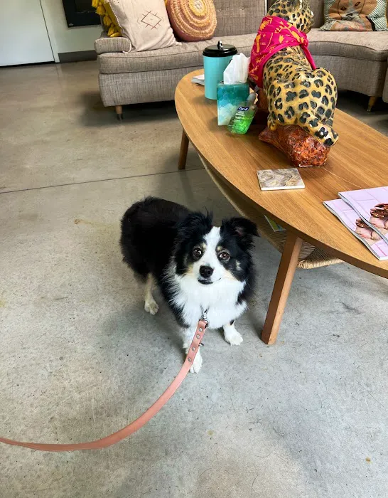 PAZ Veterinary South Picture 9