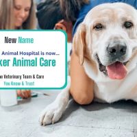 Parker Animal Care ico