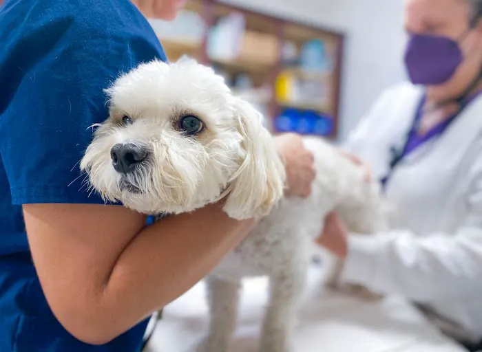 Parker Animal Care Picture 2