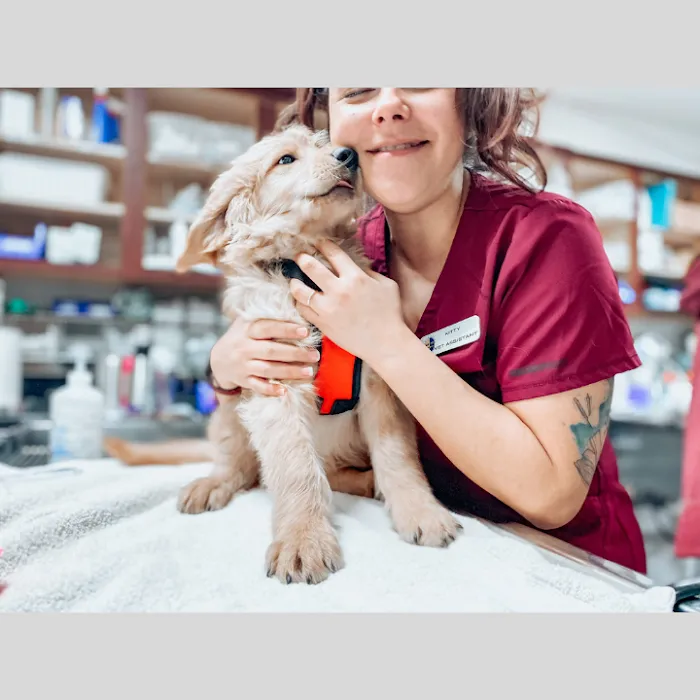 Parker Animal Care Picture 3