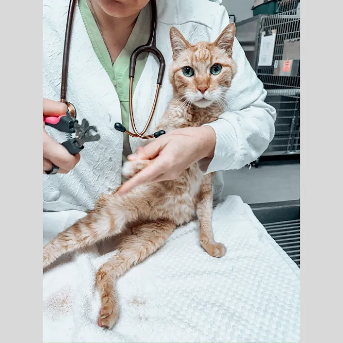 Parker Animal Care Picture 5