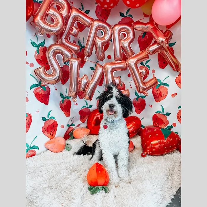 Parker Animal Care Picture 4