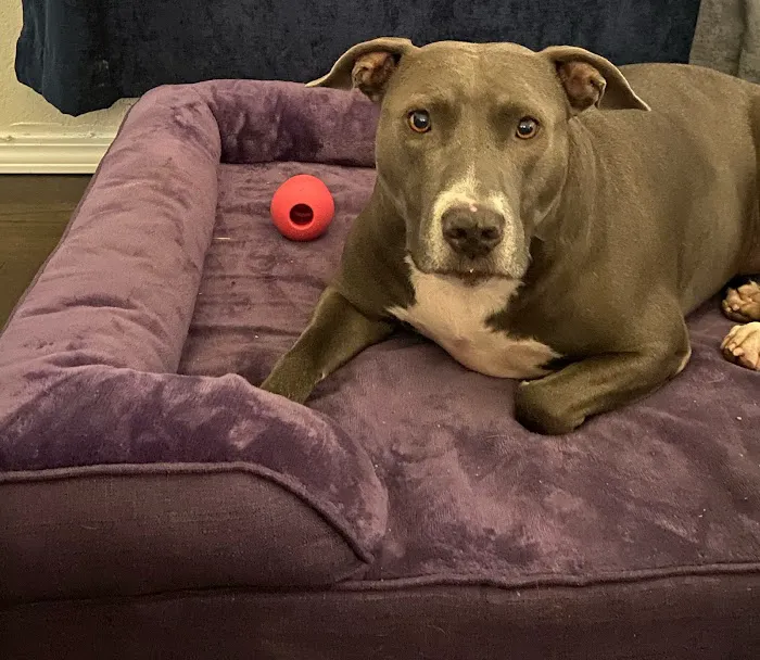 Parker Animal Care Picture 8