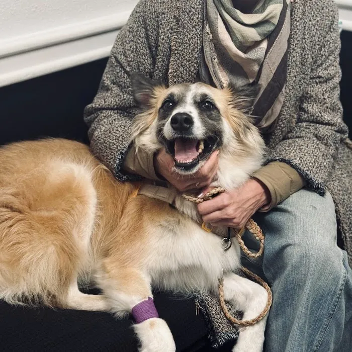 Parker Animal Care Picture 6