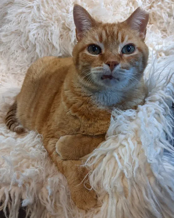 Parker Animal Care Picture 10