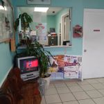 Sam's All Pet's Animal Clinic