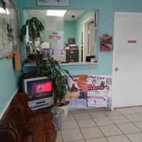 Sam's All Pet's Animal Clinic ico