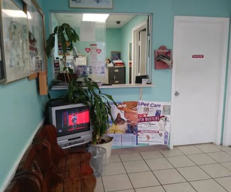 Sam's All Pet's Animal Clinic