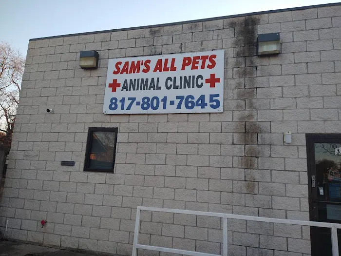 Sam's All Pet's Animal Clinic Picture 5