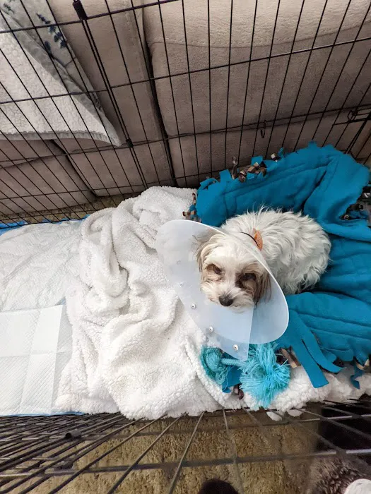 Banfield Pet Hospital Picture 6