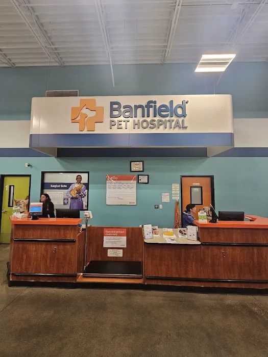 Banfield Pet Hospital Picture 8