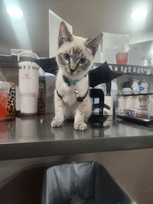 Park Plaza Animal Clinic Picture 3