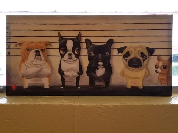 Park Plaza Animal Clinic Picture 6