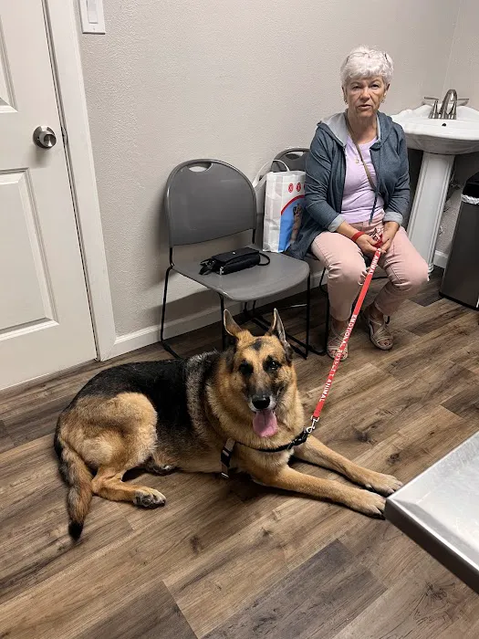Park Plaza Animal Clinic Picture 4
