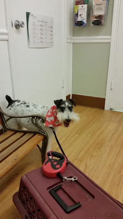 Park Plaza Animal Clinic Picture 10