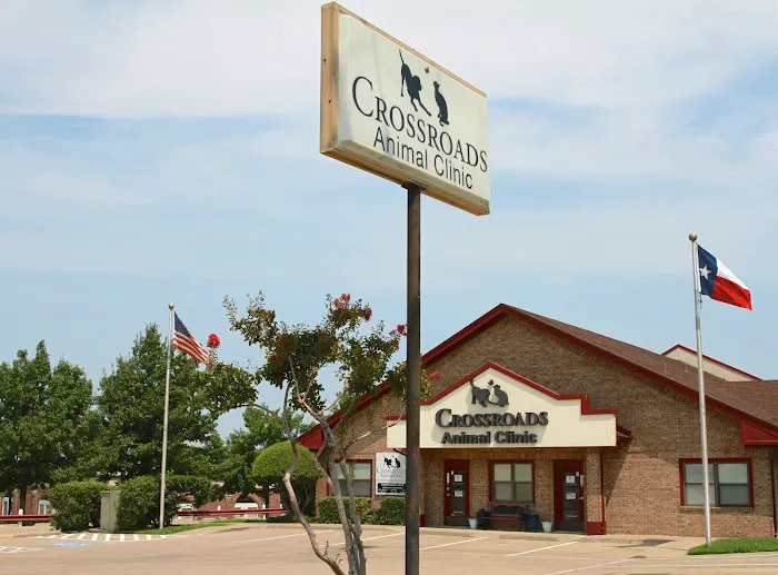 Crossroads Animal Clinic Picture 3