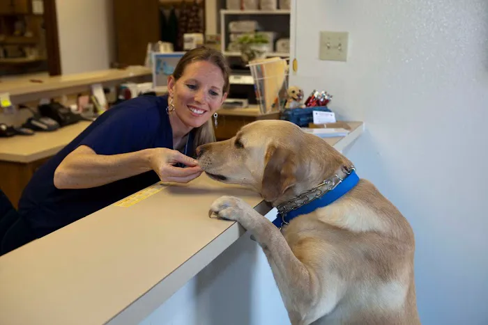 Crossroads Animal Clinic Picture 2