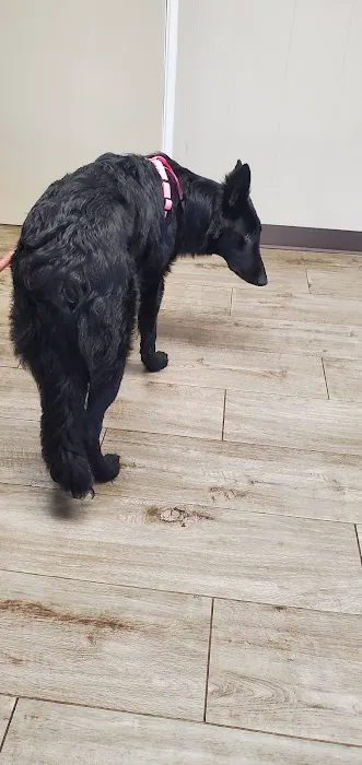 Sanford Oaks Animal Clinic Picture 1