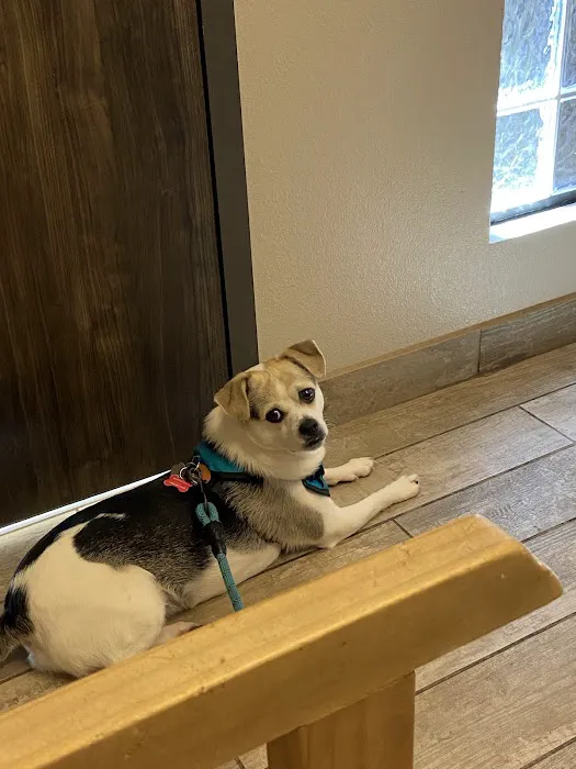 Arlington Veterinary Center Picture 2