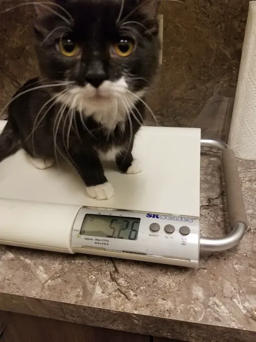 Arlington Veterinary Center Picture 6