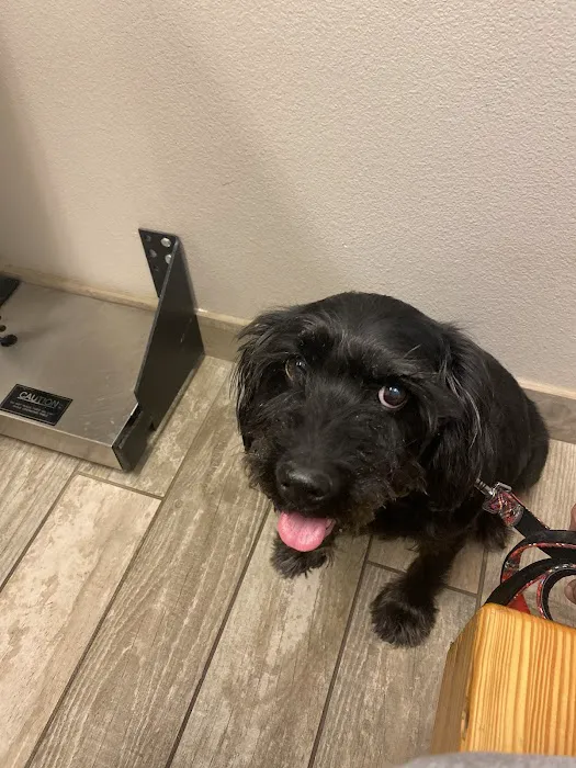 Arlington Veterinary Center Picture 7