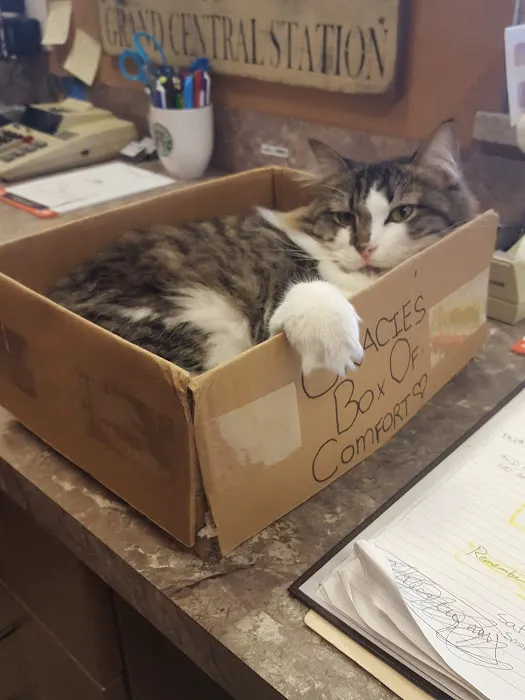 Arlington Veterinary Center Picture 10