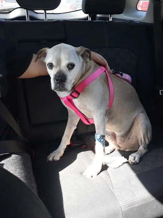Arkansas-Browning Animal: Lippett Alice DVM Picture 1