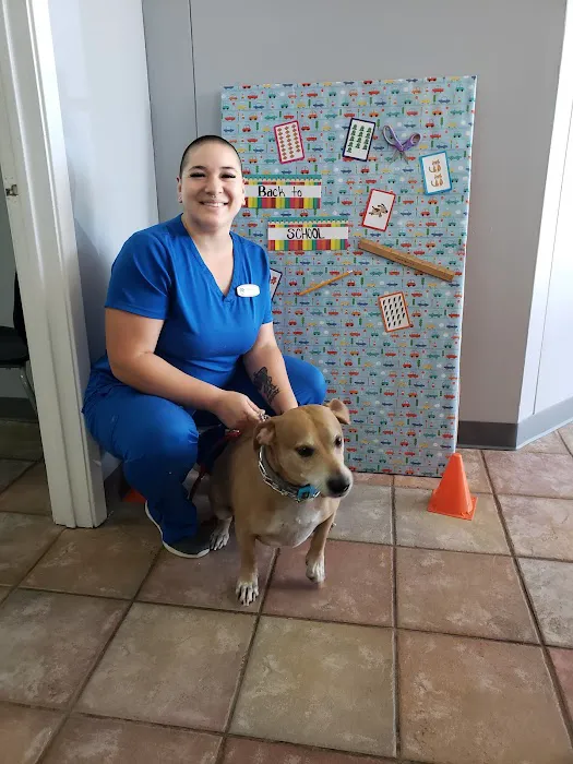 South Arlington Animal Clinic Picture 6