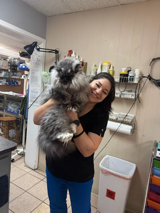 South Arlington Animal Clinic Picture 10