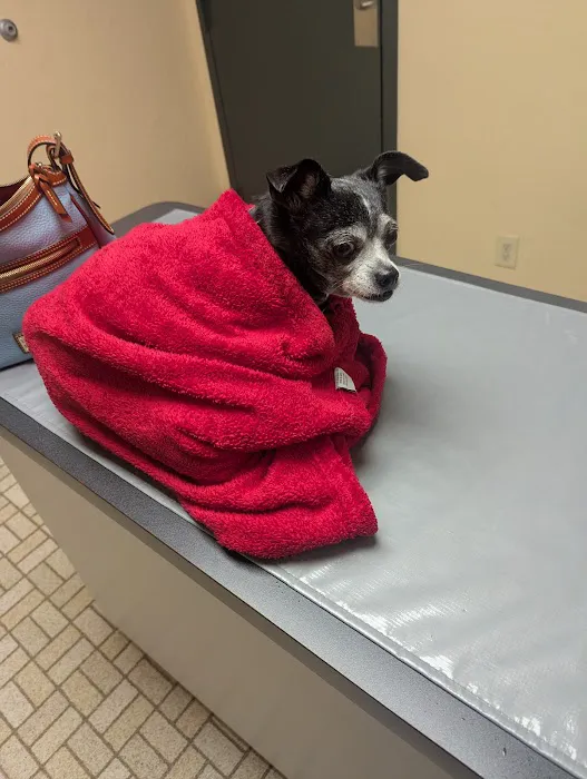 Arkansas Lane Animal Hospital Picture 1