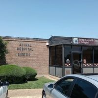 Animal Hospital & Clinic of Arlington ico