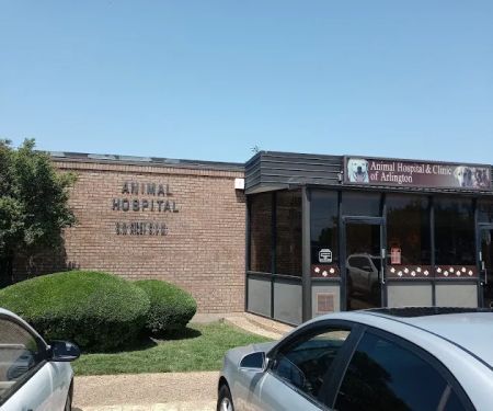 Animal Hospital & Clinic of Arlington